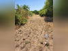 Ma-Cabane - Vente Terrain THAIRE, 800 m²