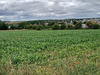 Ma-Cabane - Vente Terrain Thaon, 430 m²