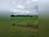Ma-Cabane - Vente Terrain Thaon, 430 m²