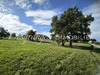Ma-Cabane - Vente Terrain Thiviers, 5362 m²