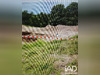 Ma-Cabane - Vente Terrain Thorigny, 722 m²