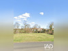 Ma-Cabane - Vente Terrain Thuret, 1535 m²