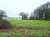 Ma-Cabane - Vente Terrain Torcé, 1018 m²