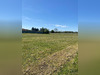 Ma-Cabane - Vente Terrain TOSTAT, 1323 m²