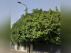 Ma-Cabane - Vente Terrain Toulouse, 339 m²