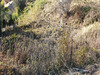 Ma-Cabane - Vente Terrain TOURRETTE LEVENS, 821 m²