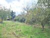 Ma-Cabane - Vente Terrain Tours, 987 m²