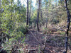 Ma-Cabane - Vente Terrain TOURVES, 55050 m²