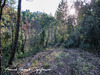 Ma-Cabane - Vente Terrain TOURVES, 55050 m²