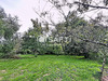 Ma-Cabane - Vente Terrain Treillieres, 702 m²