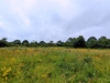 Ma-Cabane - Vente Terrain TREILLIERES, 521 m²