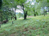 Ma-Cabane - Vente Terrain TULLE, 2355 m²