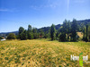 Ma-Cabane - Vente Terrain TULLE, 10091 m²
