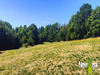 Ma-Cabane - Vente Terrain TULLE, 10091 m²
