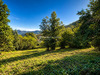 Ma-Cabane - Vente Terrain Ucciani, 3685 m²