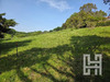 Ma-Cabane - Vente Terrain Urrugne, 925 m²