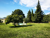 Ma-Cabane - Vente Terrain UZES, 1291 m²