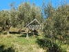 Ma-Cabane - Vente Terrain Vagnas, 2504 m²