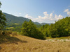 Ma-Cabane - Vente Terrain VAL DE CHALVAGNE, 12283 m²