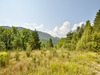 Ma-Cabane - Vente Terrain VAL DE CHALVAGNE, 12283 m²