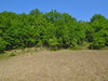 Ma-Cabane - Vente Terrain VAL DE CHALVAGNE, 12283 m²