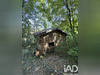 Ma-Cabane - Vente Terrain Vallères, 477 m²