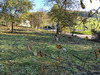 Ma-Cabane - Vente Terrain VANDELEVILLE, 1544 m²