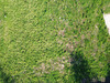 Ma-Cabane - Vente Terrain Vaugrigneuse, 368 m²