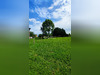 Ma-Cabane - Vente Terrain Vaureilles, 1838 m²