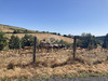 Ma-Cabane - Vente Terrain Vauxrenard, 4320 m²