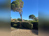 Ma-Cabane - Vente Terrain Vayres, 800 m²
