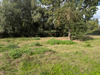 Ma-Cabane - Vente Terrain VENDEGIES-SUR-ECAILLON, 1100 m²