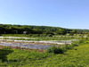 Ma-Cabane - Vente Terrain VERDELOT, 200 m²