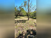 Ma-Cabane - Vente Terrain Veyre-Monton, 1710 m²