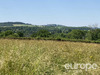 Ma-Cabane - Vente Terrain Vézelay, 3142 m²