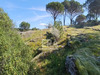 Ma-Cabane - Vente Terrain VIDAUBAN, 3000 m²