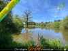 Ma-Cabane - Vente Terrain VIGNOC, 30825 m²