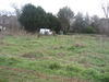 Ma-Cabane - Vente Terrain VILLANDRAUT, 0 m²