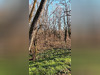 Ma-Cabane - Vente Terrain VILLANDRAUT, 0 m²