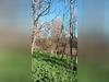 Ma-Cabane - Vente Terrain VILLANDRAUT, 0 m²
