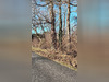 Ma-Cabane - Vente Terrain VILLANDRAUT, 0 m²