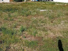 Ma-Cabane - Vente Terrain VILLARS LES DOMBES, 0 m²