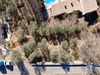 Ma-Cabane - Vente Terrain VILLARS-SUR-VAR, 800 m²
