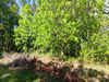 Ma-Cabane - Vente Terrain VILLEFRANCHE DE LONCHAT, 2975 m²