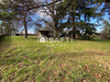 Ma-Cabane - Vente Terrain Villefranche-de-Rouergue, 3200 m²