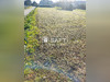 Ma-Cabane - Vente Terrain Villegats, 1295 m²