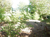 Ma-Cabane - Vente Terrain Villemandeur, 643 m²
