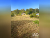 Ma-Cabane - Vente Terrain Villemandeur, 1294 m²