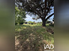 Ma-Cabane - Vente Terrain Villenave-d'Ornon, 1519 m²