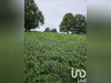 Ma-Cabane - Vente Terrain Villeneuve-sur-Yonne, 5931 m²